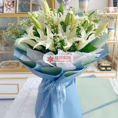 晋中8支白色多头百合洋甘菊，互倾的思念