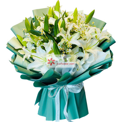 晋中8支白色多头百合洋甘菊，如潮的思念