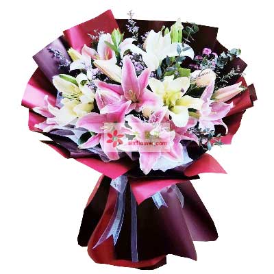 晋中8支百合花，天天开心